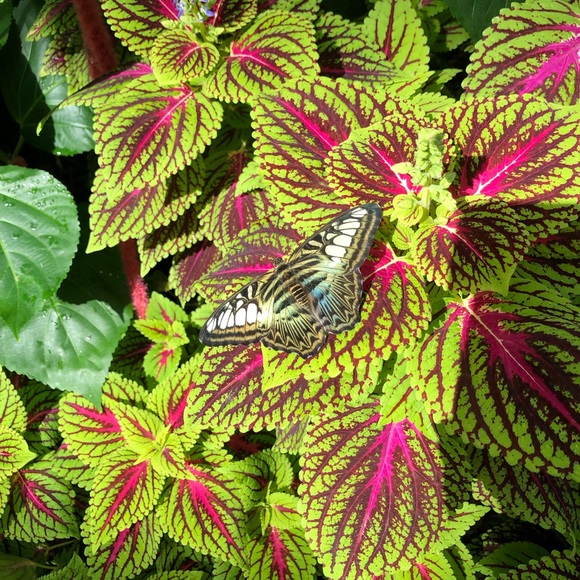 Meet your Posher, Gail - Picture 1 of 1